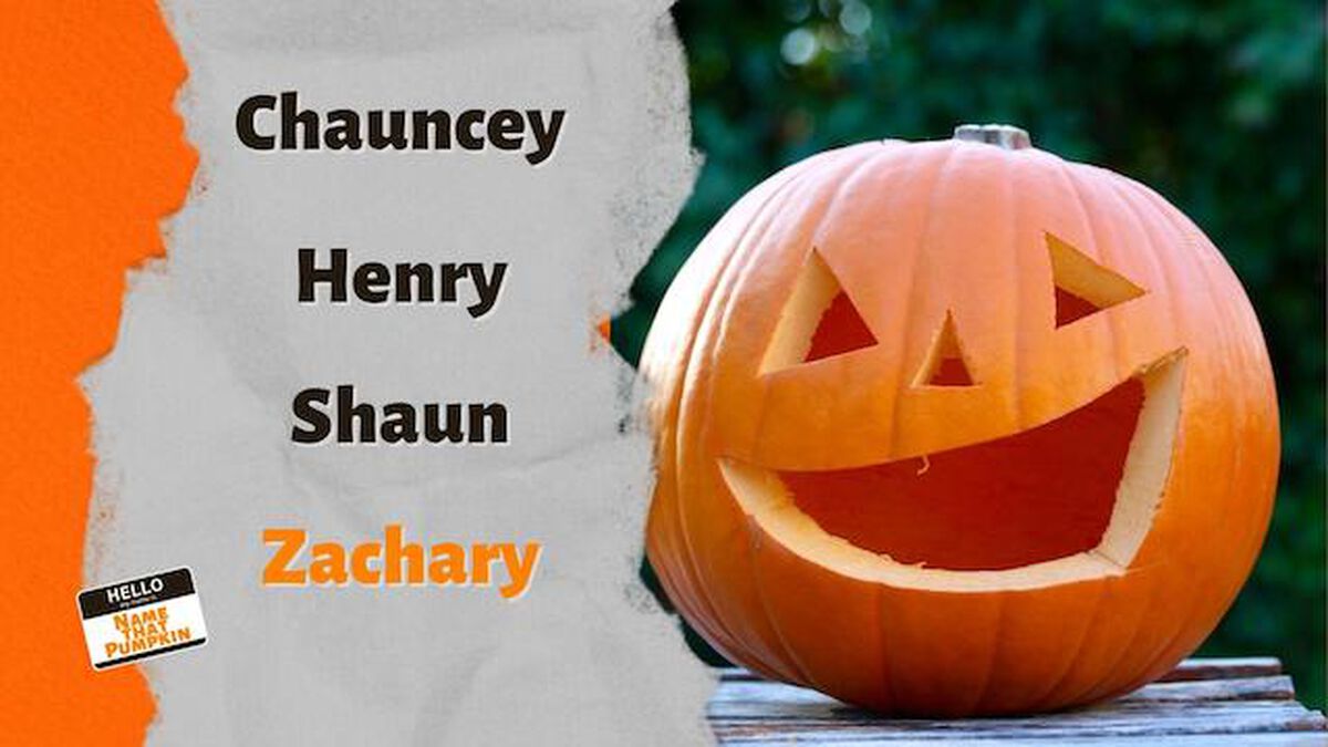 Name That Pumpkin image number null